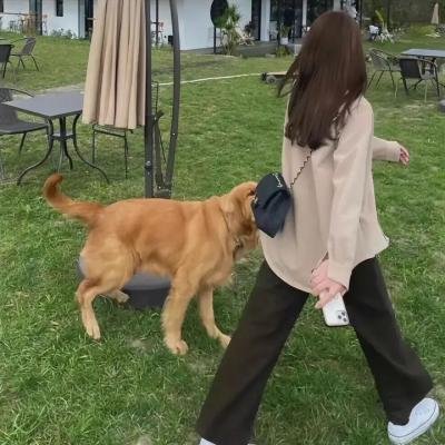 吻一个!2